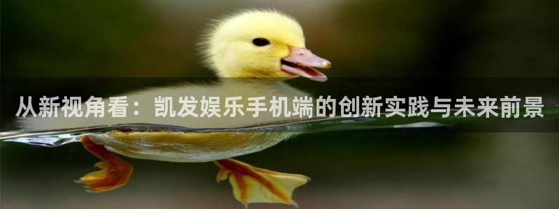 壹号娱乐集团