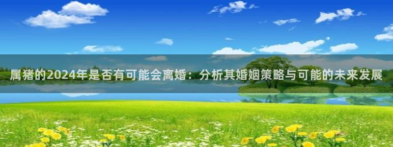 壹号娱乐平台招商：属猪的2024年是否有可能会离婚：分析其婚姻策略与可能的未来发