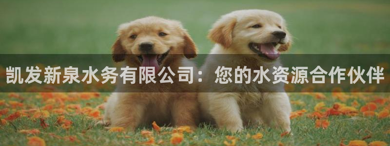 壹号娱乐3注册：凯发新泉水务有限公司：您的水资源合作伙伴