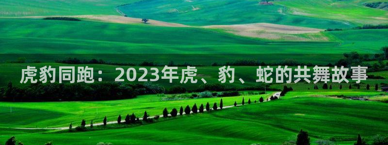 壹号娱乐平台开户：虎豹同跑：2023年虎、豹、蛇的共舞故事
