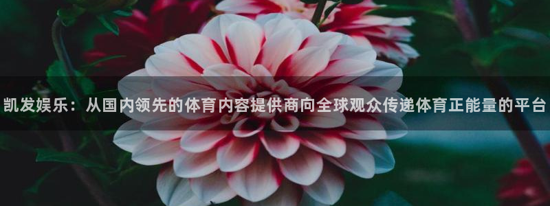 壹号娱乐体育f开号：凯发娱乐：从国内领先的体育内容提供商向全球观众传递体育正能量