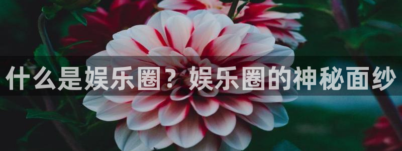 东莞市壹号娱乐电子科技有限公司：什么是娱乐圈？娱乐圈的神秘面纱