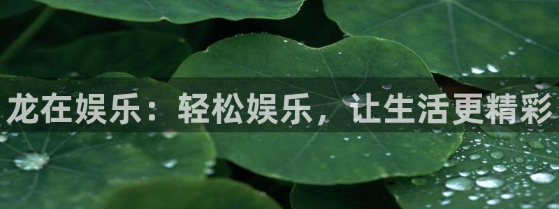 壹号娱乐体育论坛：龙在娱乐：轻松娱乐，让生活更精彩