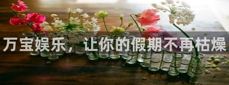 壹号娱乐3注册：万宝娱乐，让你的假期不再枯燥