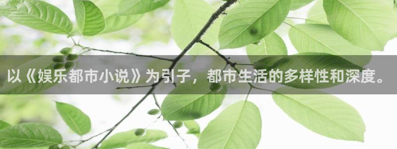 壹号娱乐登录注册：以《娱乐都市小说》为引子，都市生活的多样性和深度。