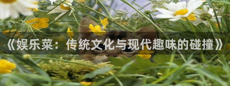 壹号娱乐凯捷开号链接：《娱乐菜：传统文化与现代趣味的碰撞》