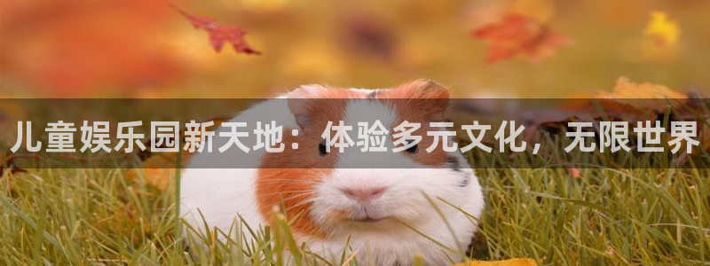 壹号娱乐体育凯捷平台主管：儿童娱乐园新天地：体验多元文化，无限世界