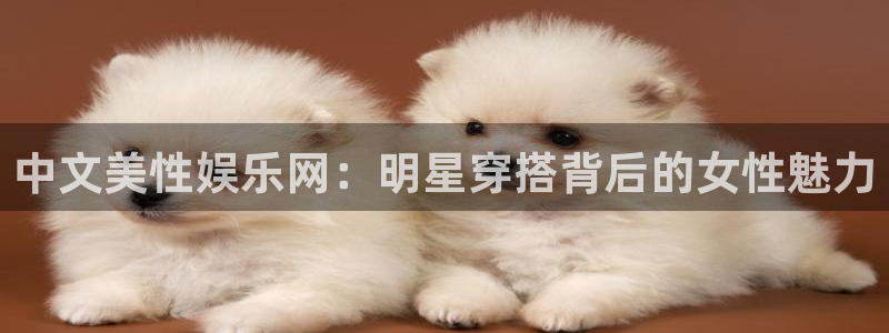 壹号娱乐k：中文美性娱乐网：明星穿搭背后的女性魅力