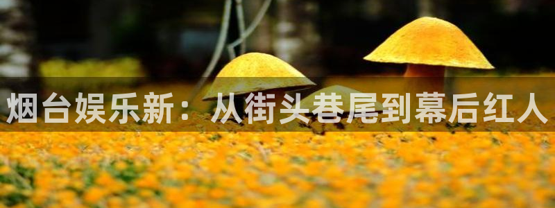 壹号娱乐体育注册代理：烟台娱乐新：从街头巷尾到幕后红人