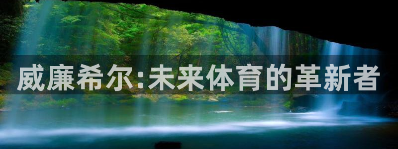 壹号娱乐代理注册官网入口：威廉希尔:未来体育的革新者