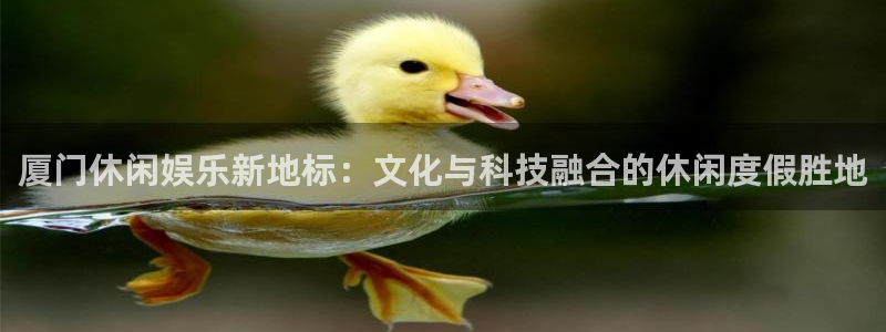 壹号娱乐平台官网：厦门休闲娱乐新地标：文化与科技融合的休闲度假胜地