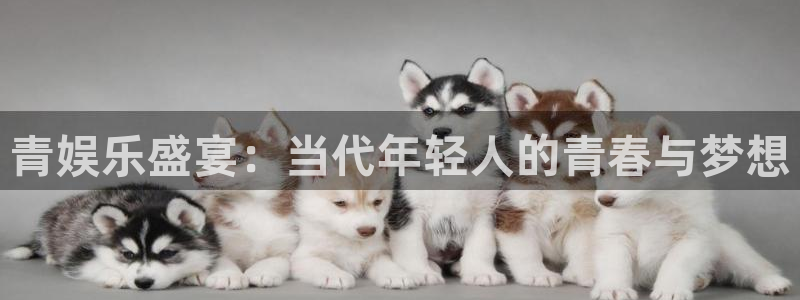 壹号娱乐4：青娱乐盛宴：当代年轻人的青春与梦想