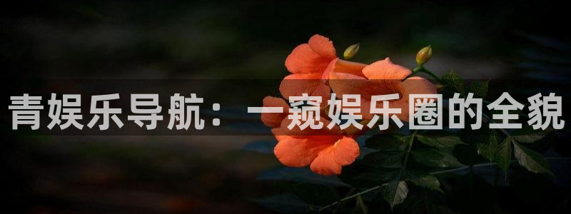 壹号娱乐平台招商：青娱乐导航：一窥娱乐圈的全貌
