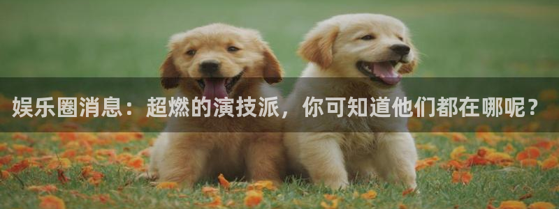 壹号娱乐2注册：娱乐圈消息：超燃的演技派，你可知道他们都在哪呢？