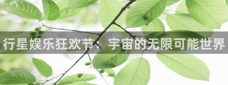 壹号娱乐登录界面入口：行星娱乐狂欢节：宇宙的无限可能世界