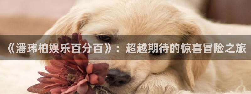壹号娱乐平台：《潘玮柏娱乐百分百》：超越期待的惊喜冒险之旅