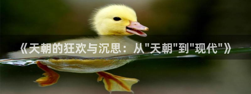 壹号娱乐官网注册：《天朝的狂欢与沉思：从\